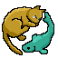 Kattfisk